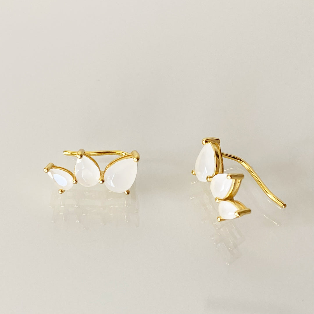DESI GOLD CLIMBERS
