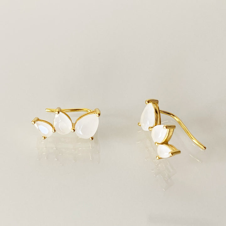 DESI GOLD CLIMBERS