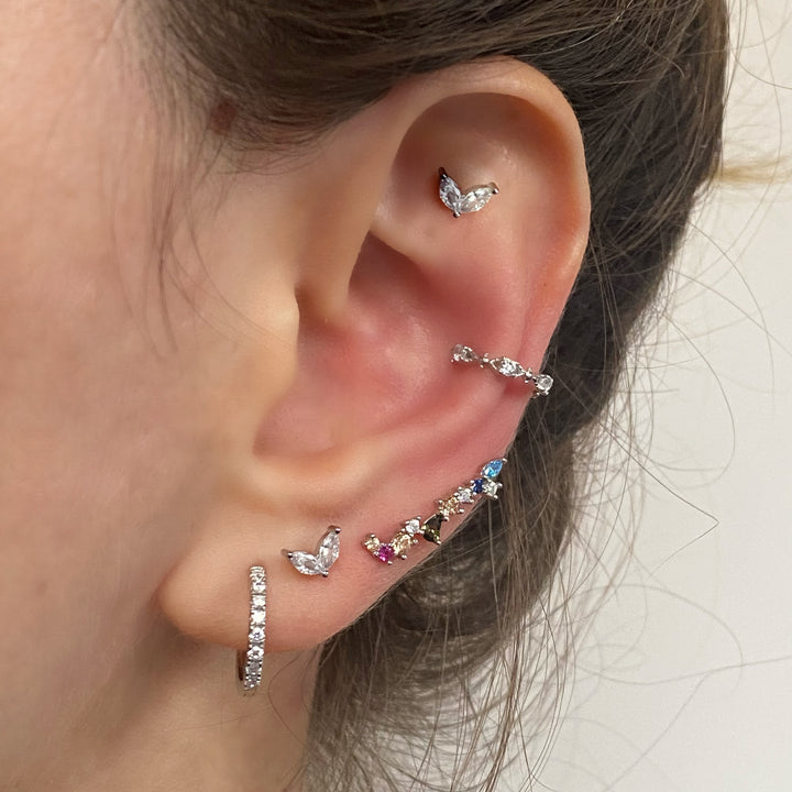 DIANA SILVER CLIMBERS