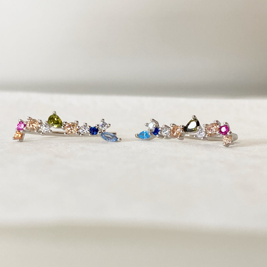 DIANA SILVER CLIMBERS